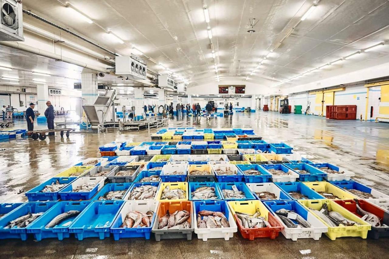 Au Bout Du Port Διαμέρισμα Guilvinec Εξωτερικό φωτογραφία